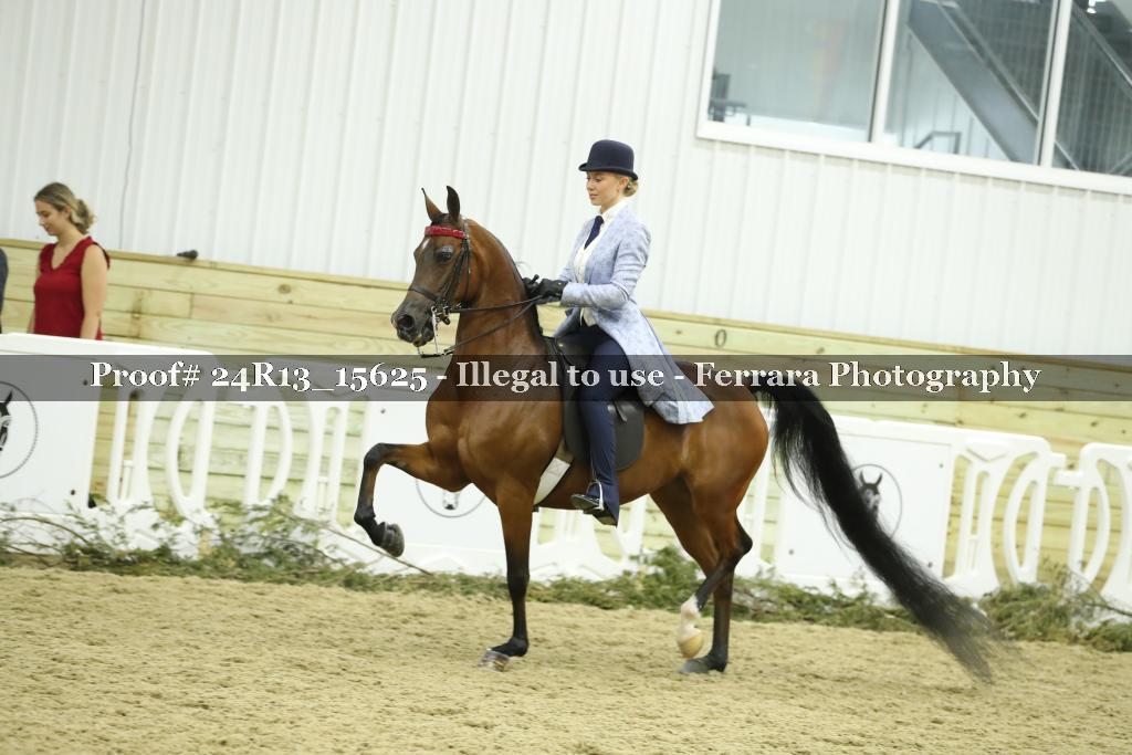 Proof 24R13_15625