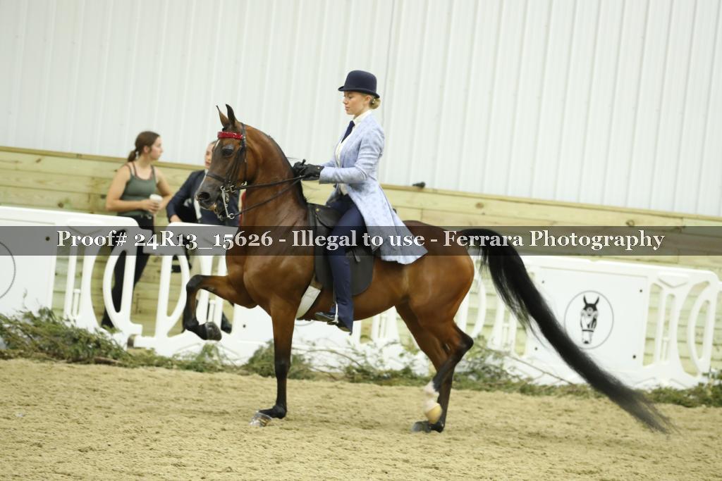 Proof 24R13_15626