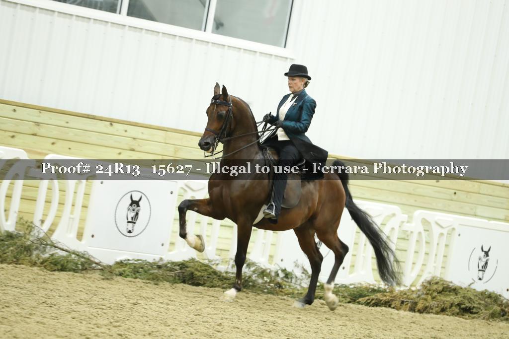 Proof 24R13_15627