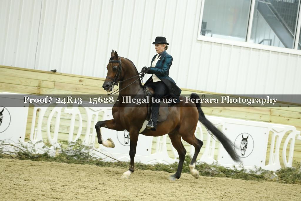 Proof 24R13_15628