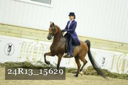 24R13_15629 proof