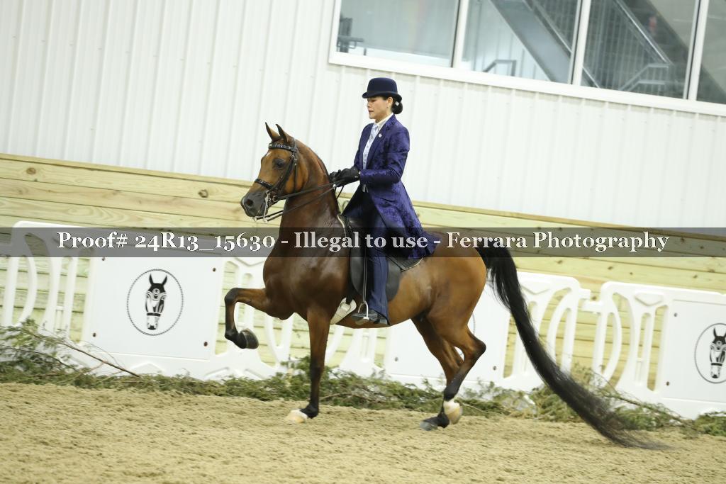 Proof 24R13_15630