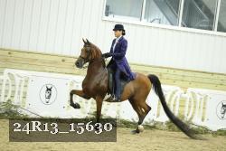 24R13_15630 proof
