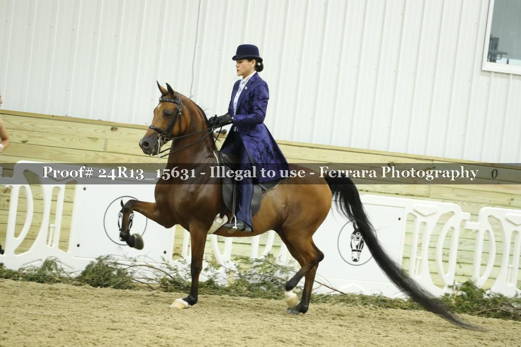 Proof 24R13_15631
