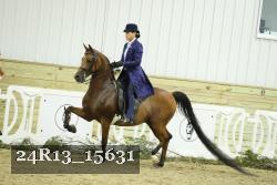 24R13_15631 proof