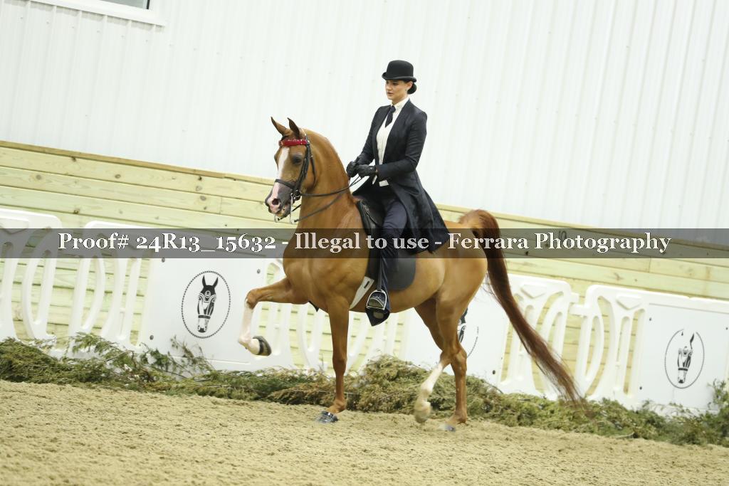 Proof 24R13_15632