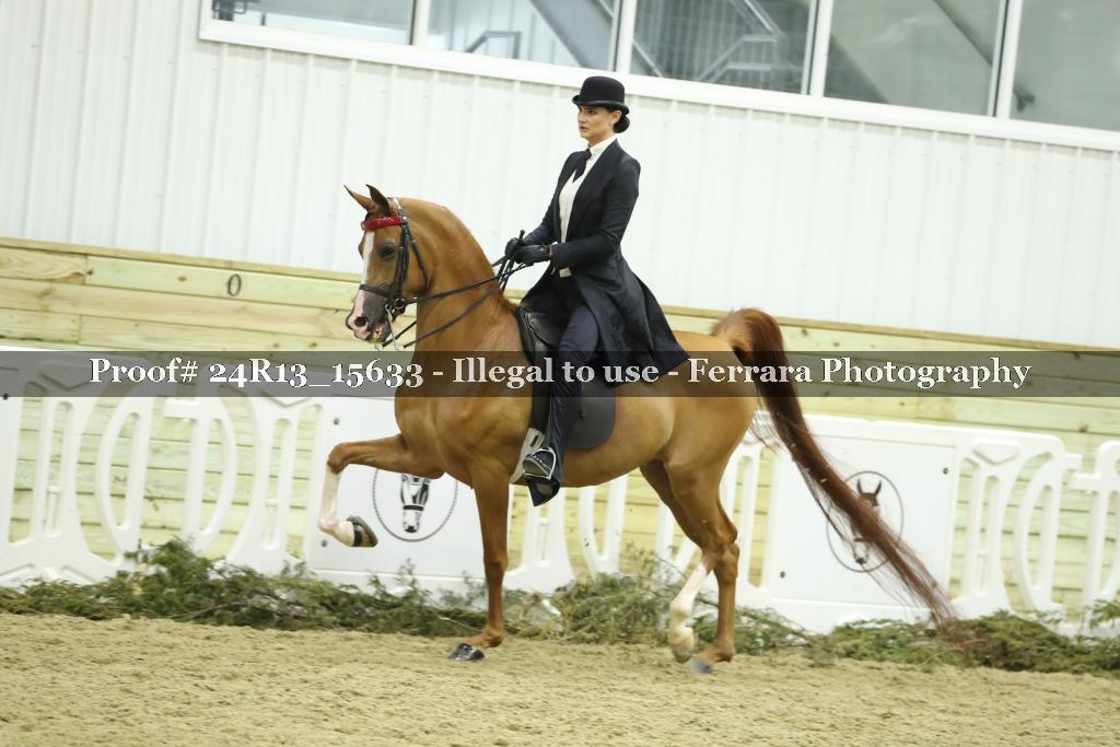Proof 24R13_15633