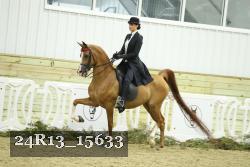 24R13_15633 proof