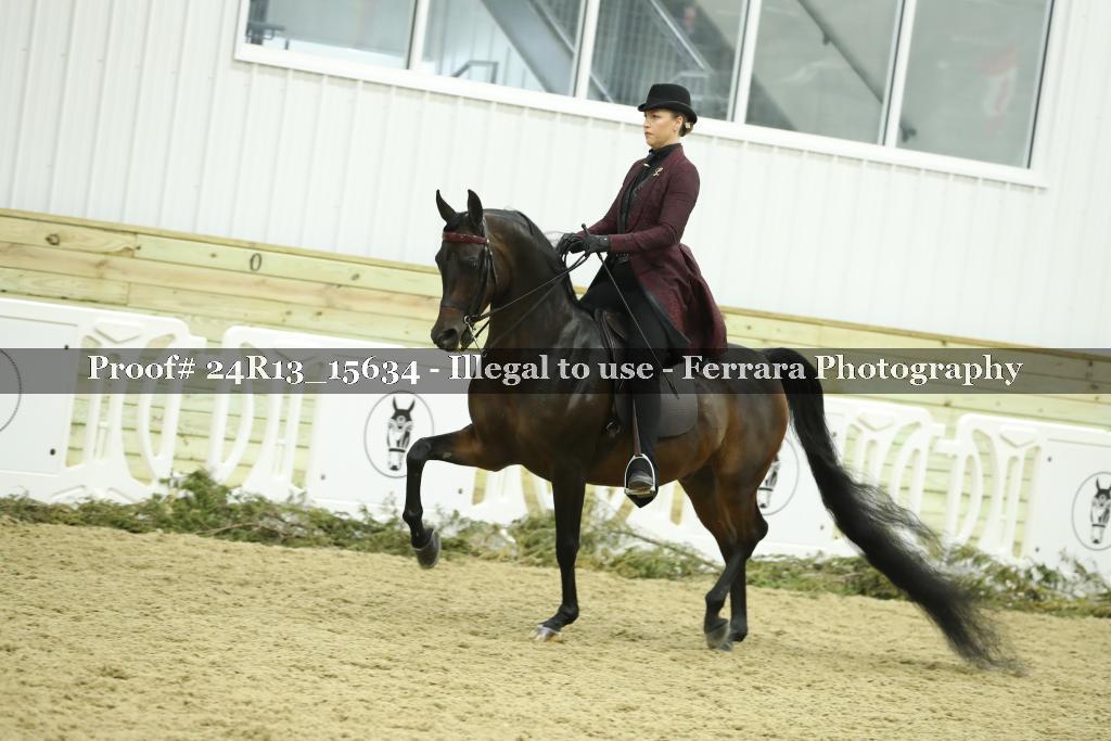 Proof 24R13_15634