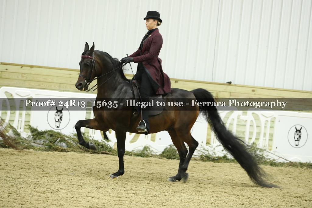 Proof 24R13_15635