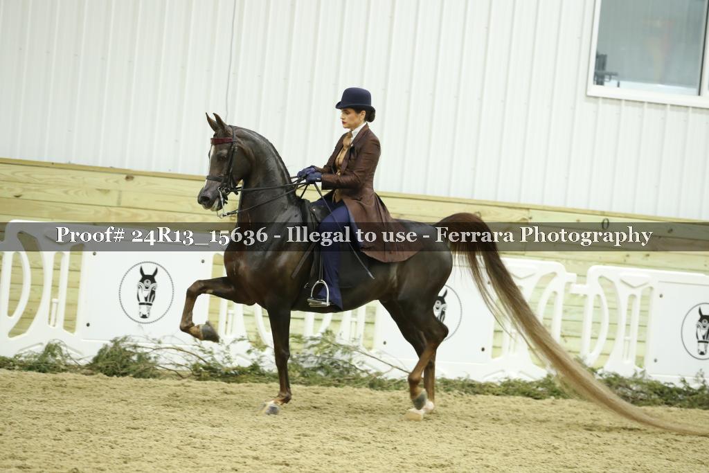 Proof 24R13_15636