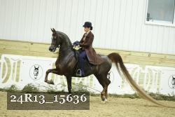 24R13_15636 proof