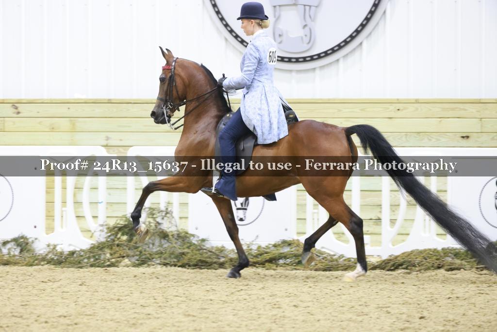 Proof 24R13_15637