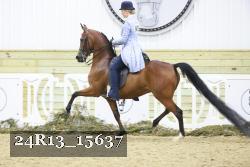 24R13_15637 proof