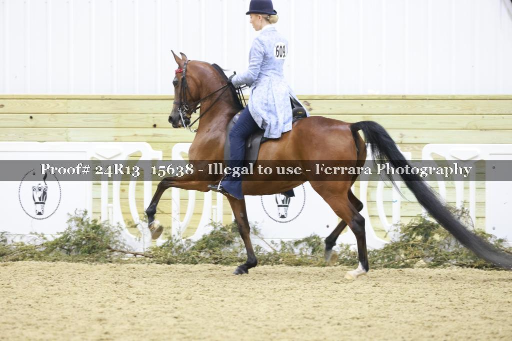 Proof 24R13_15638