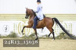 24R13_15638 proof