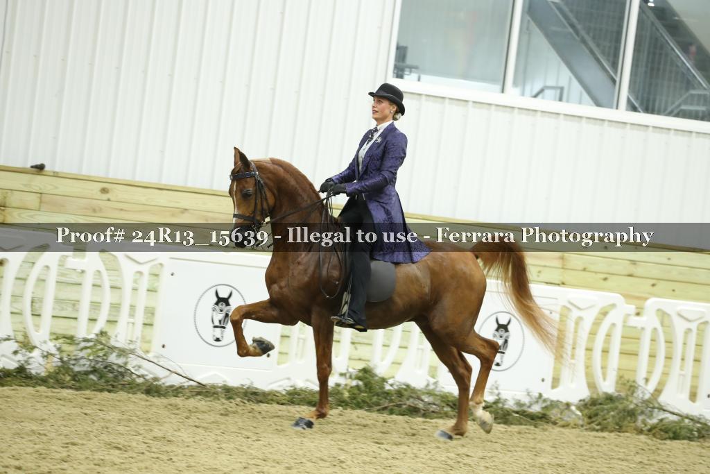 Proof 24R13_15639