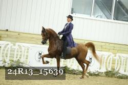 24R13_15639 proof