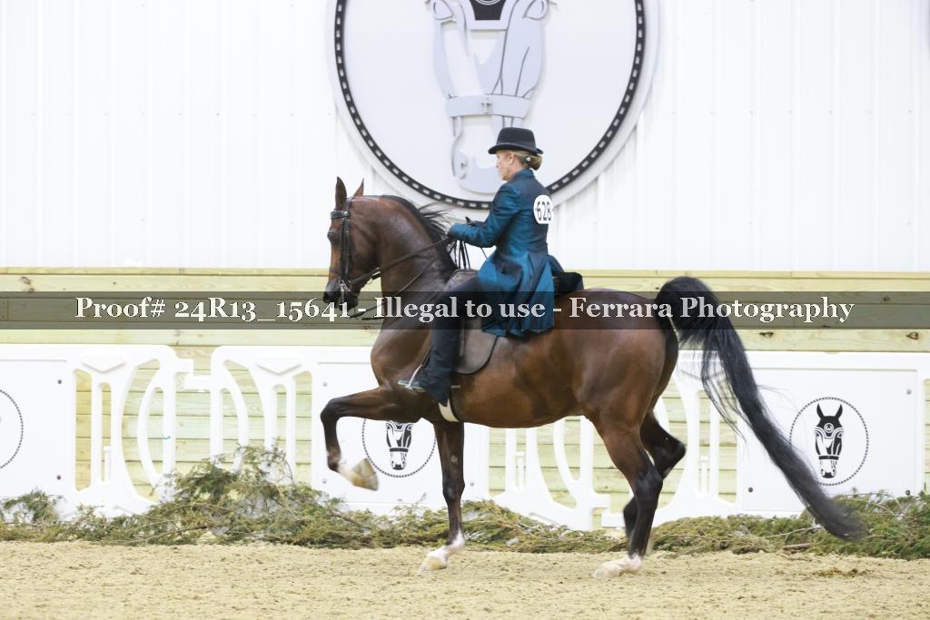 Proof 24R13_15641