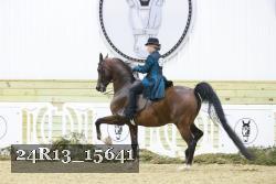 24R13_15641 proof