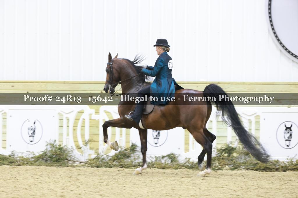 Proof 24R13_15642