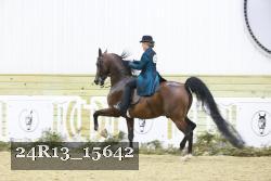 24R13_15642 proof