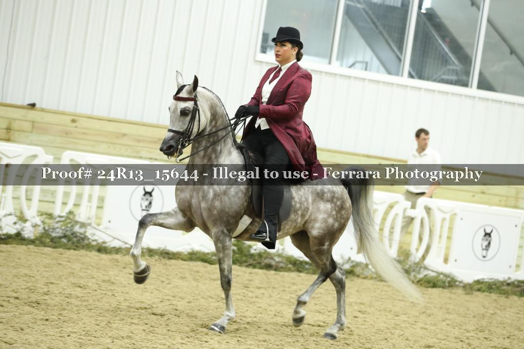 Proof 24R13_15644