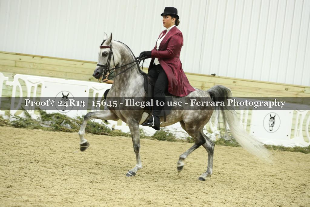 Proof 24R13_15645