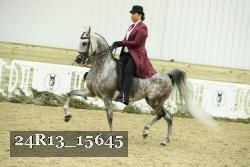 24R13_15645 proof