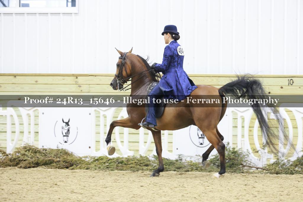 Proof 24R13_15646