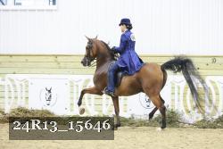 24R13_15646 proof