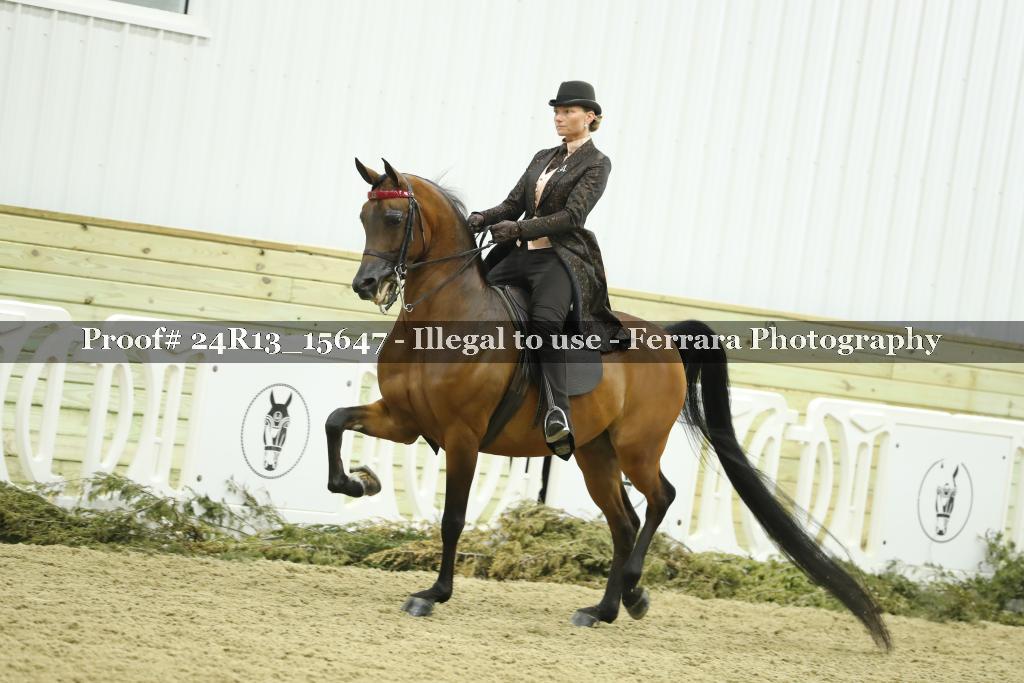 Proof 24R13_15647