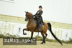 24R13_15647 proof