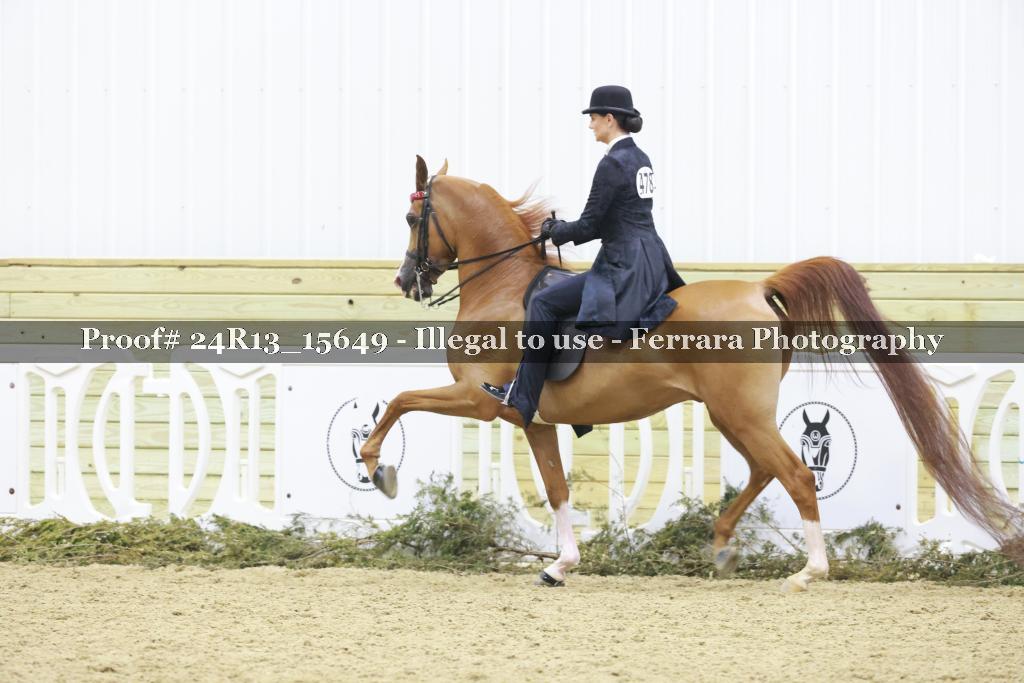 Proof 24R13_15649