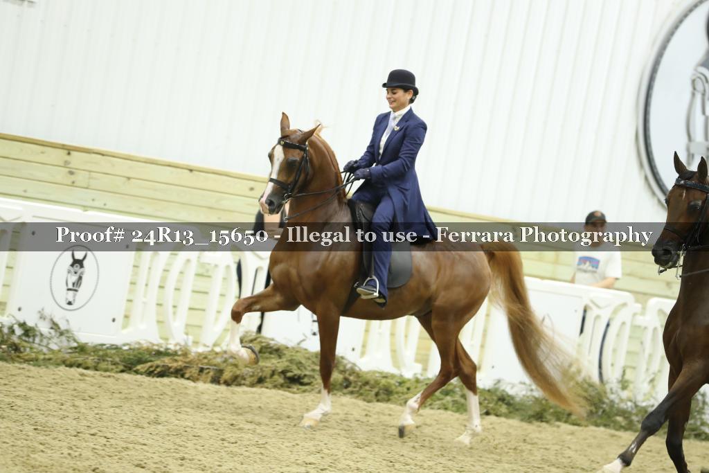 Proof 24R13_15650