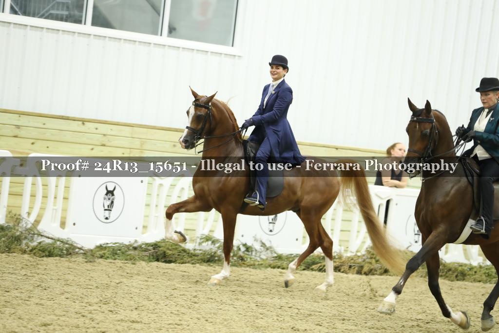 Proof 24R13_15651