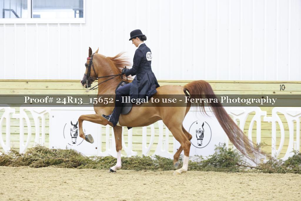 Proof 24R13_15652
