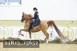 24R13_15652 proof