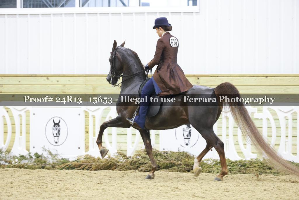 Proof 24R13_15653