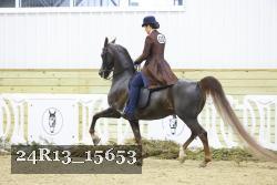 24R13_15653 proof