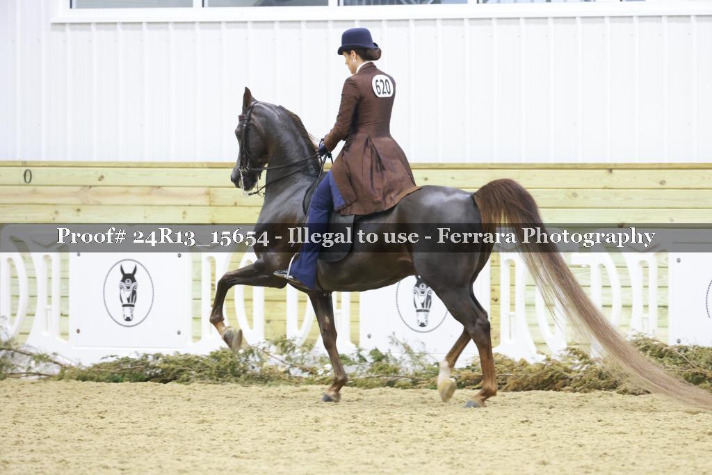 Proof 24R13_15654