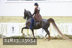 24R13_15654 proof