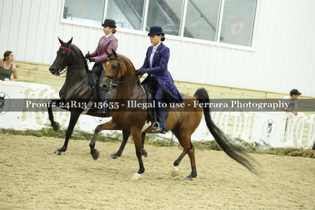 Proof 24R13_15655