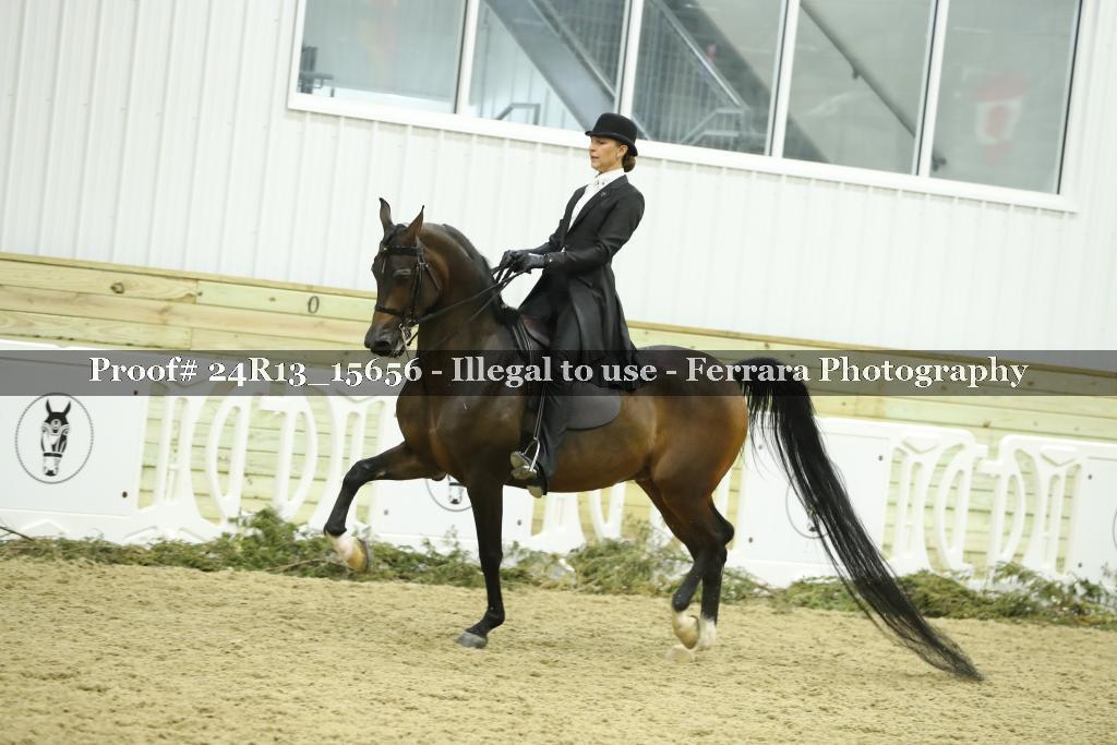 Proof 24R13_15656