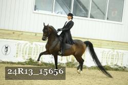 24R13_15656 proof