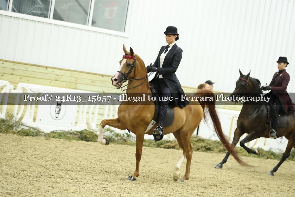 Proof 24R13_15657