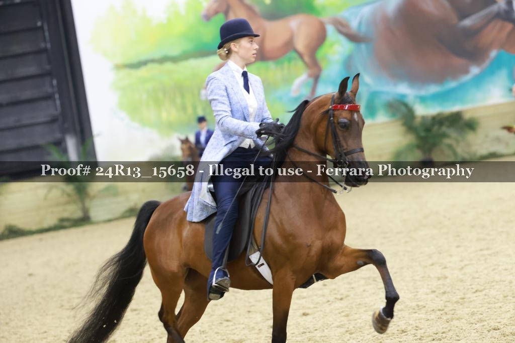 Proof 24R13_15658