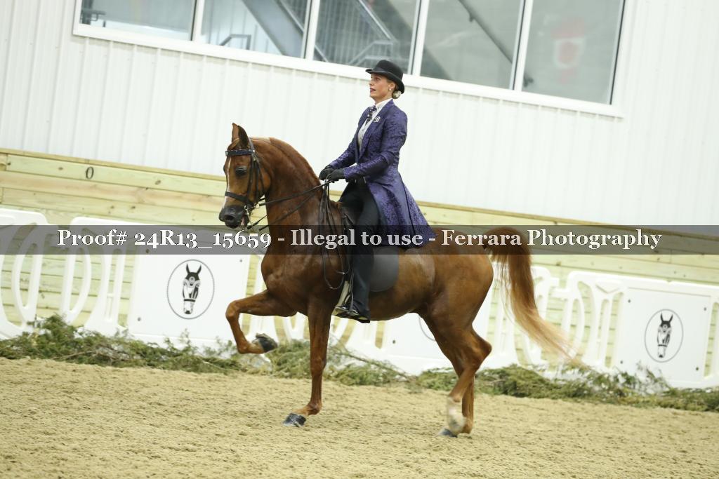 Proof 24R13_15659