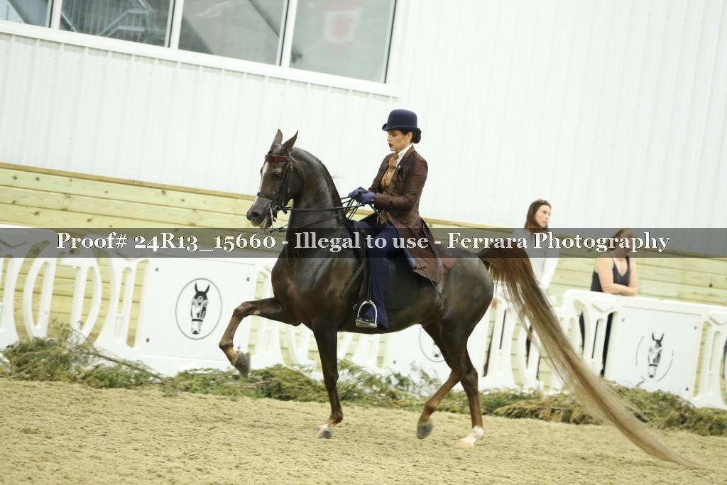 Proof 24R13_15660