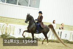 24R13_15660 proof